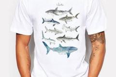 WhatsApp-Image-2022-04-14-at-21.09.27-2